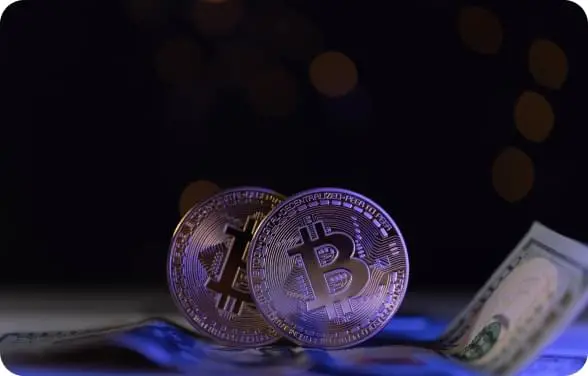Immediate Fortune Bitcoin coins with dollar